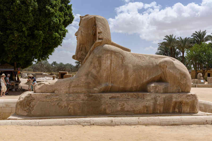 Egipto 269 - Menfis - museo al aire libre - Esfinge de Alabastro.jpg